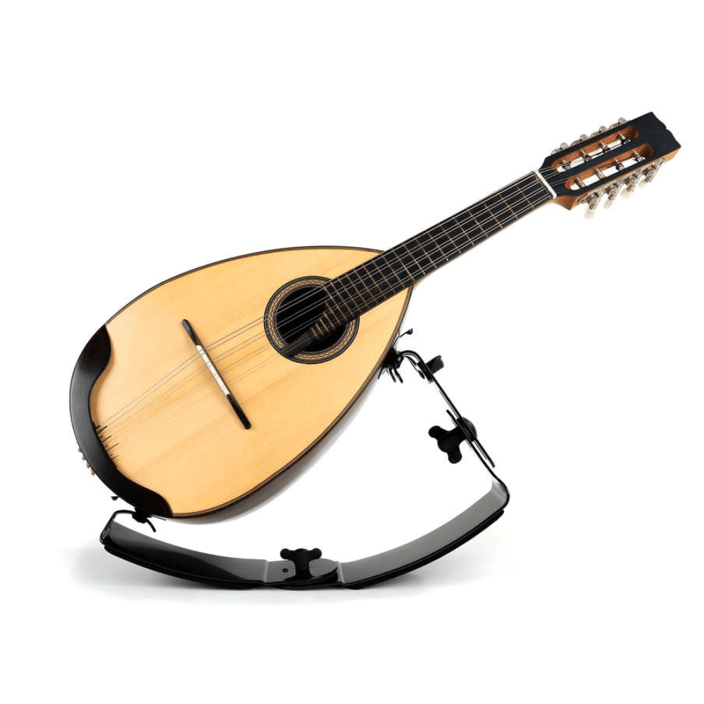 ErgoPlay mandolin rest