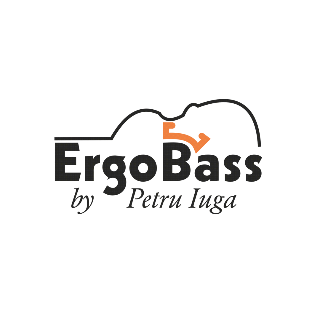 Ergonomic double bass support ErgoBass